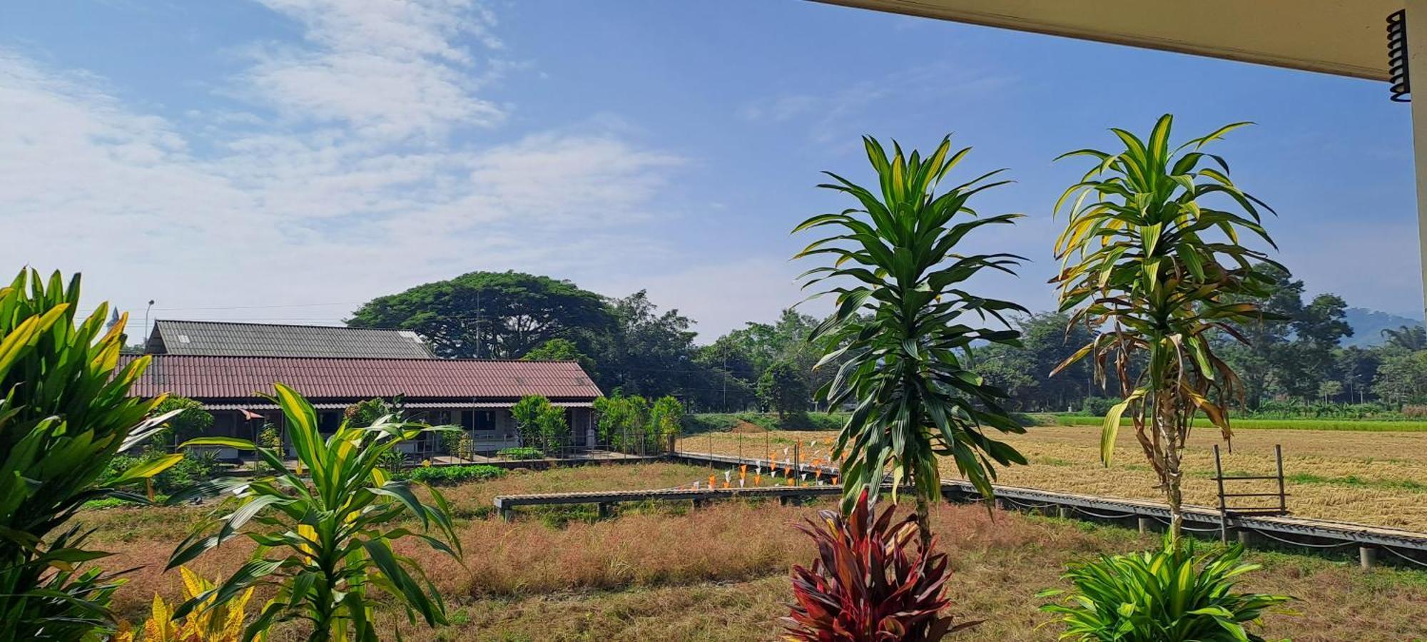 Ban Lom Jen Homestay Chiang Rai Zewnętrze zdjęcie