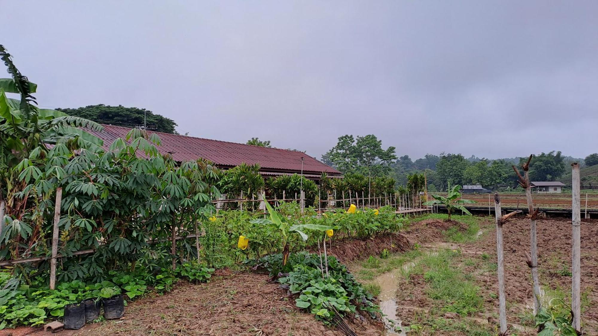 Ban Lom Jen Homestay Chiang Rai Zewnętrze zdjęcie