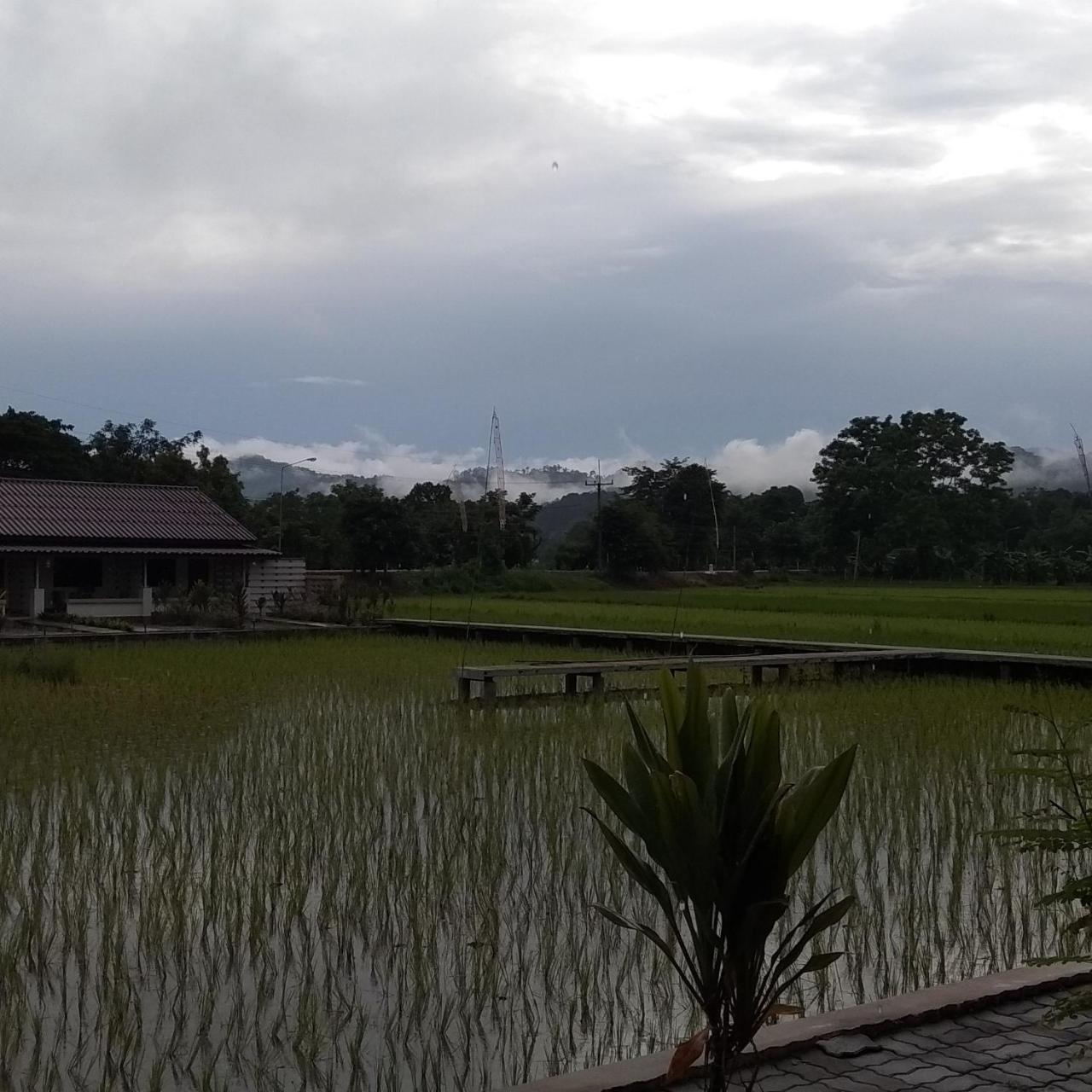 Ban Lom Jen Homestay Chiang Rai Zewnętrze zdjęcie